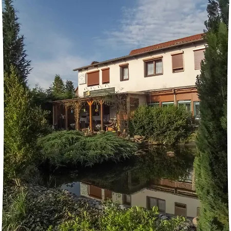 Zum Schwanenteich Гостевой дом