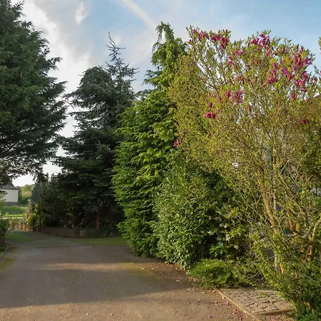 Zum Schwanenteich Gasthof 3*